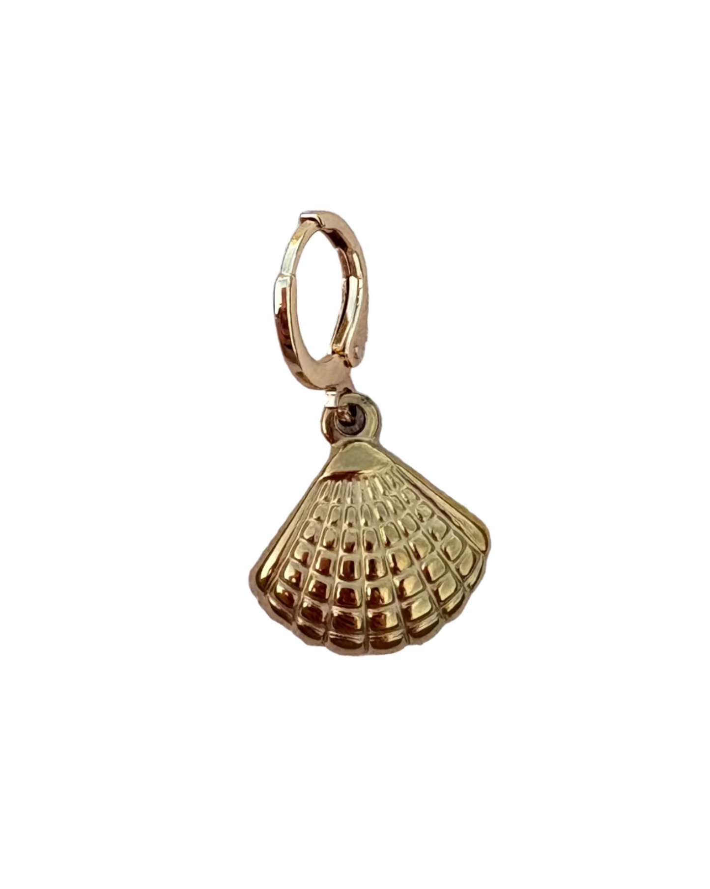 Golden shell